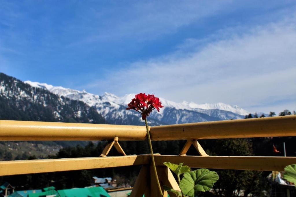 Upclimb Longstay For Bus Or Taxi Only Guests Manāli Buitenkant foto
